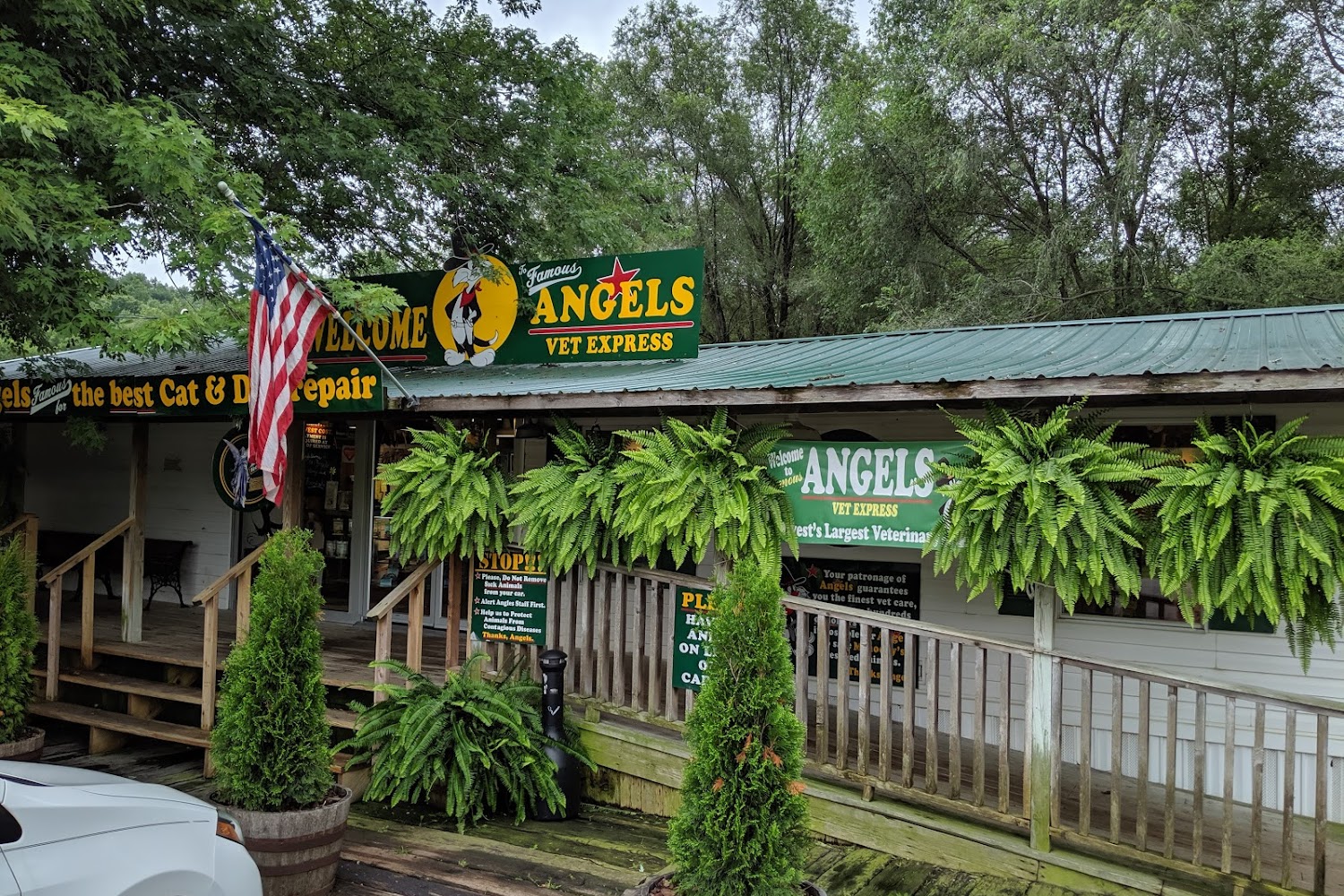 M'shoogy's Animal Rescue