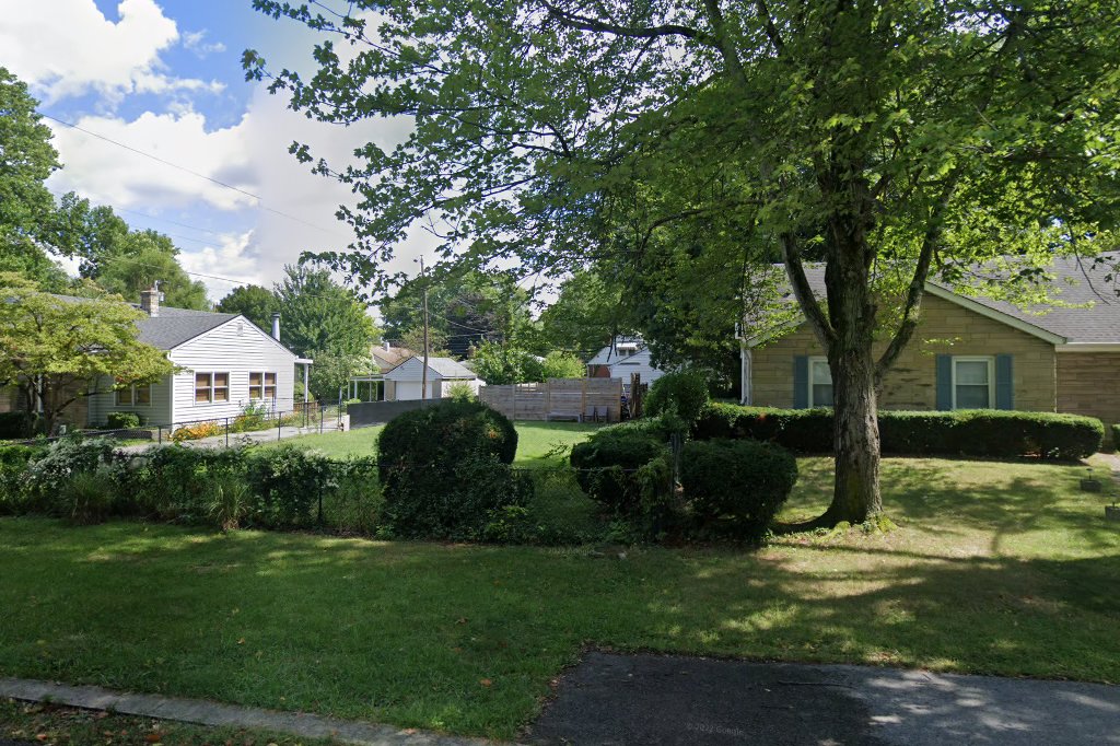 Starting Over Airedale Terrier Rescue