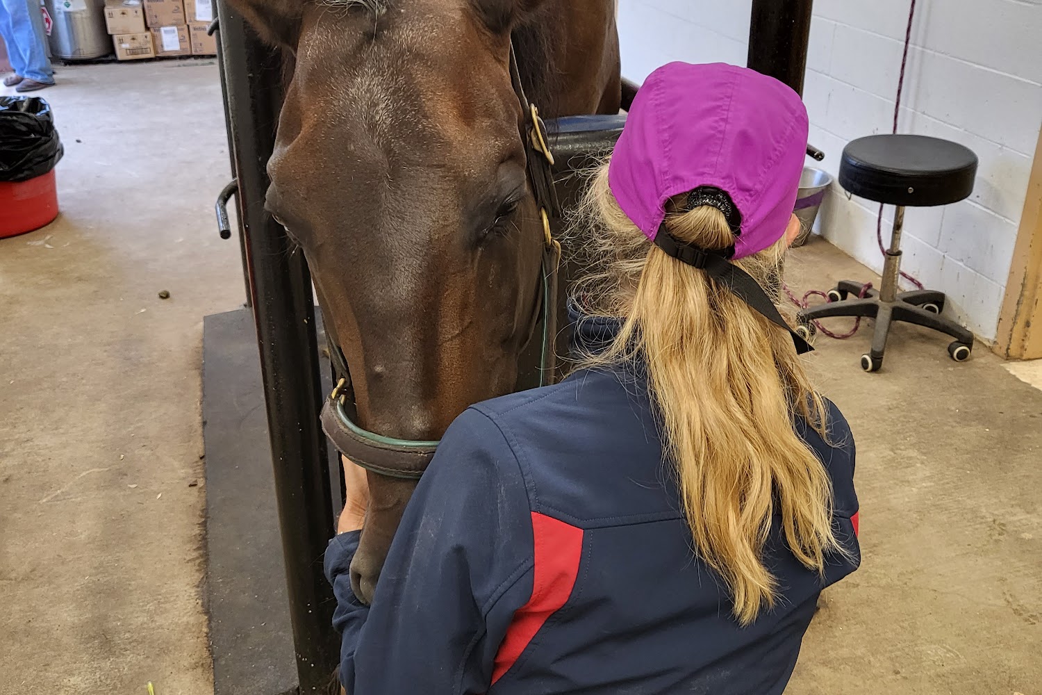 Red River Equine Hospital