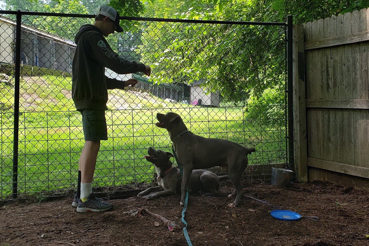 Owen County Humane Society