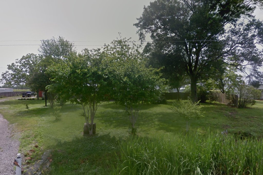 Bon Temps Ferret Rescue