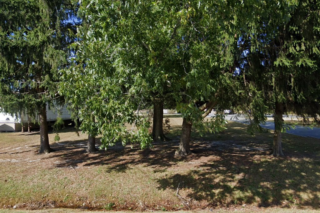 Sussex Veterinary Hospital