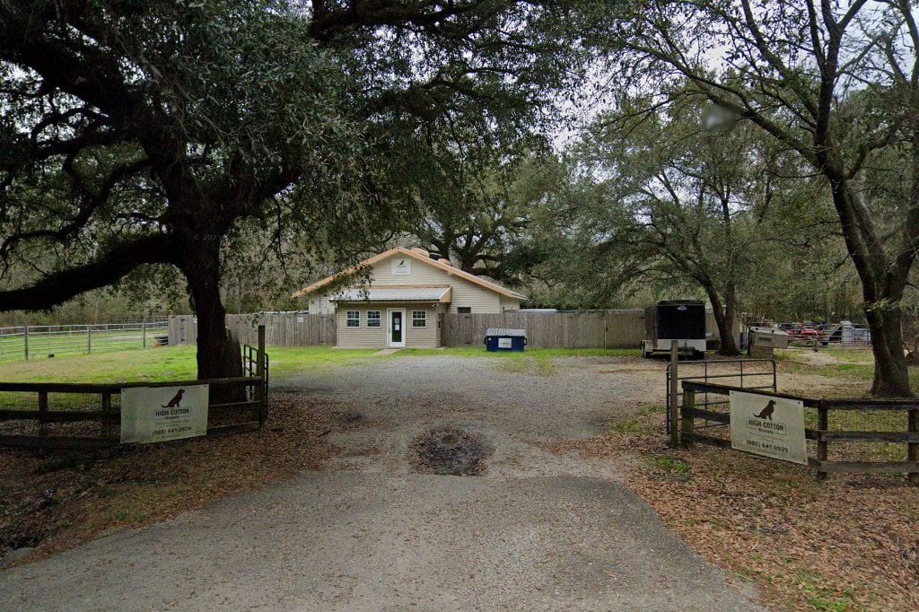 Ladawg Louisiana Domestic Animal Welfare Group