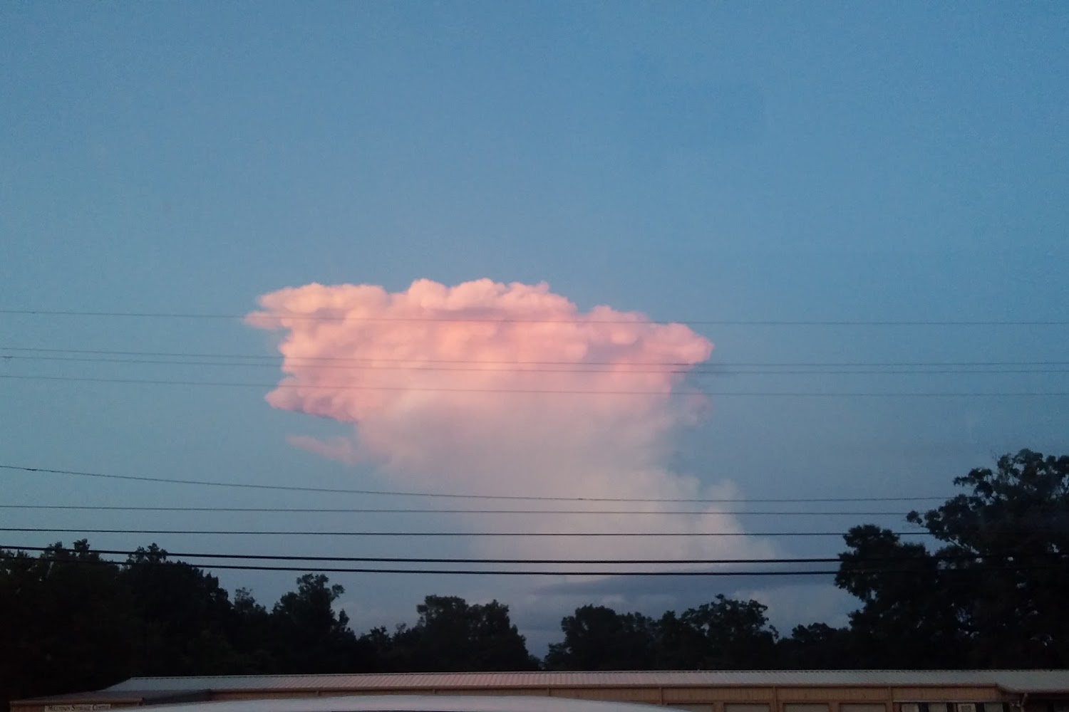 Washington Humane Society