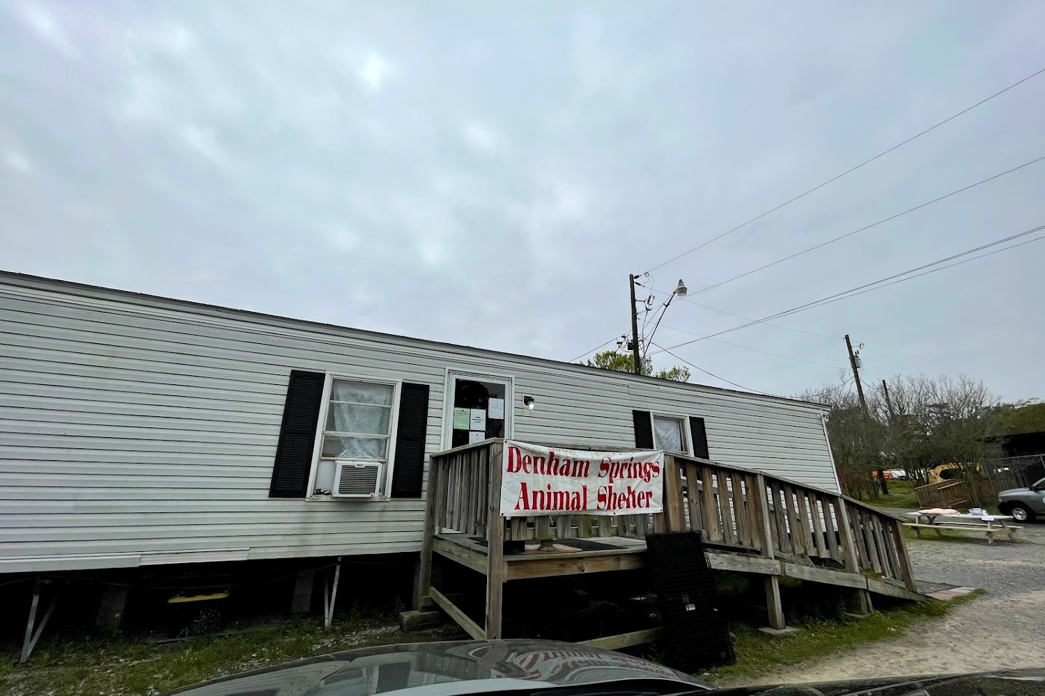 Denham Springs Animal Control