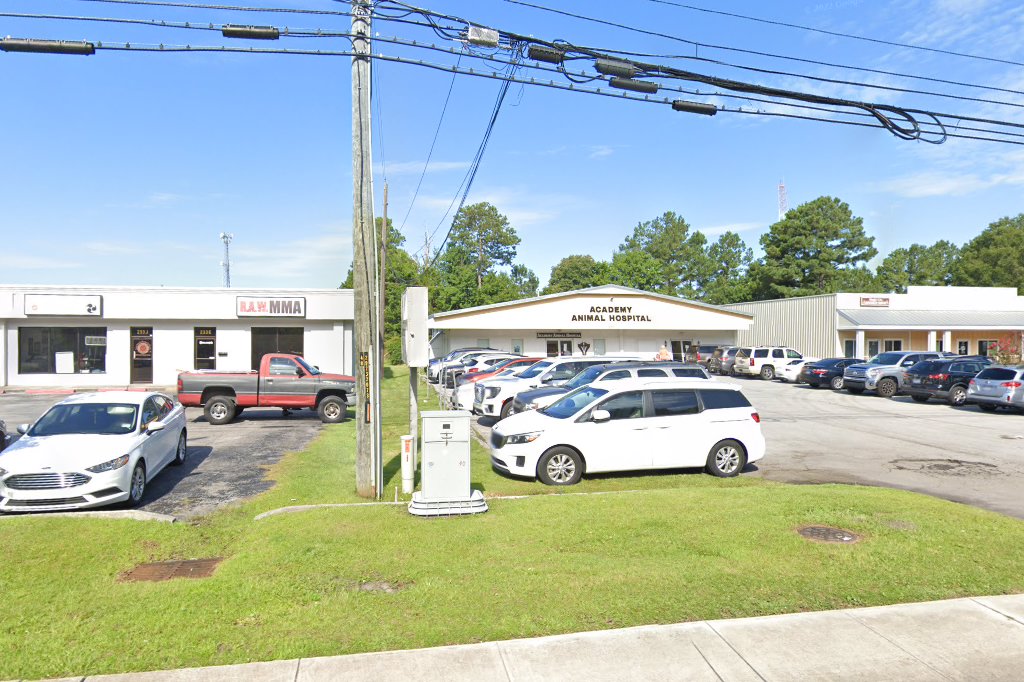 Academy Animal Hospital