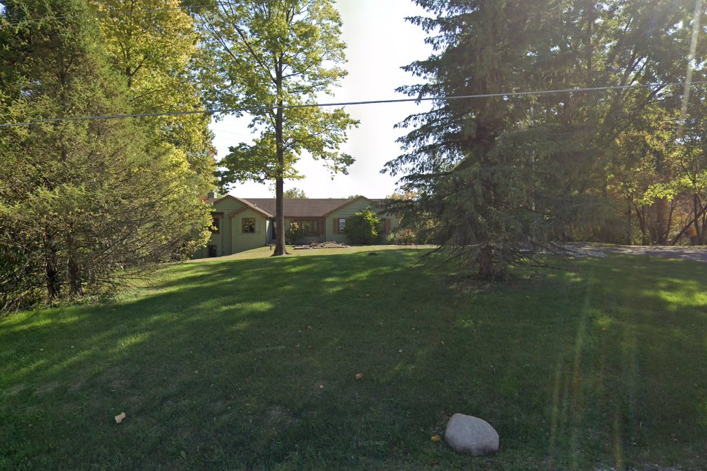 National Brittany Rescue and Adoption Network