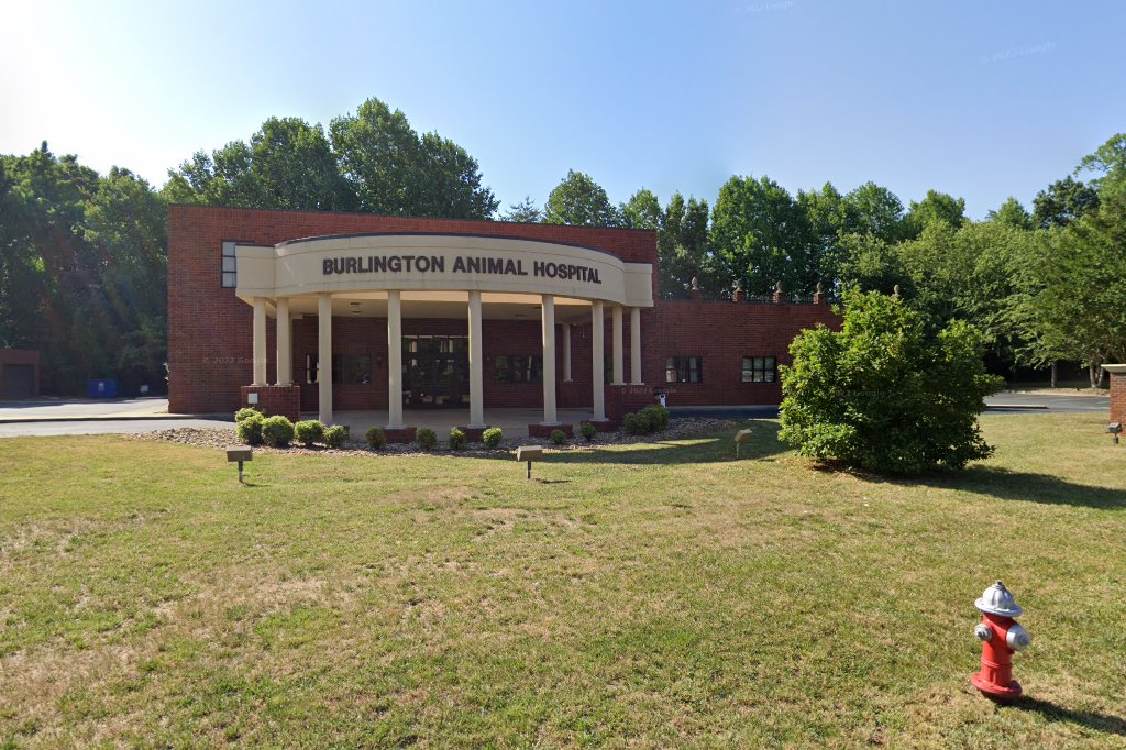 Burlington Animal Hospital