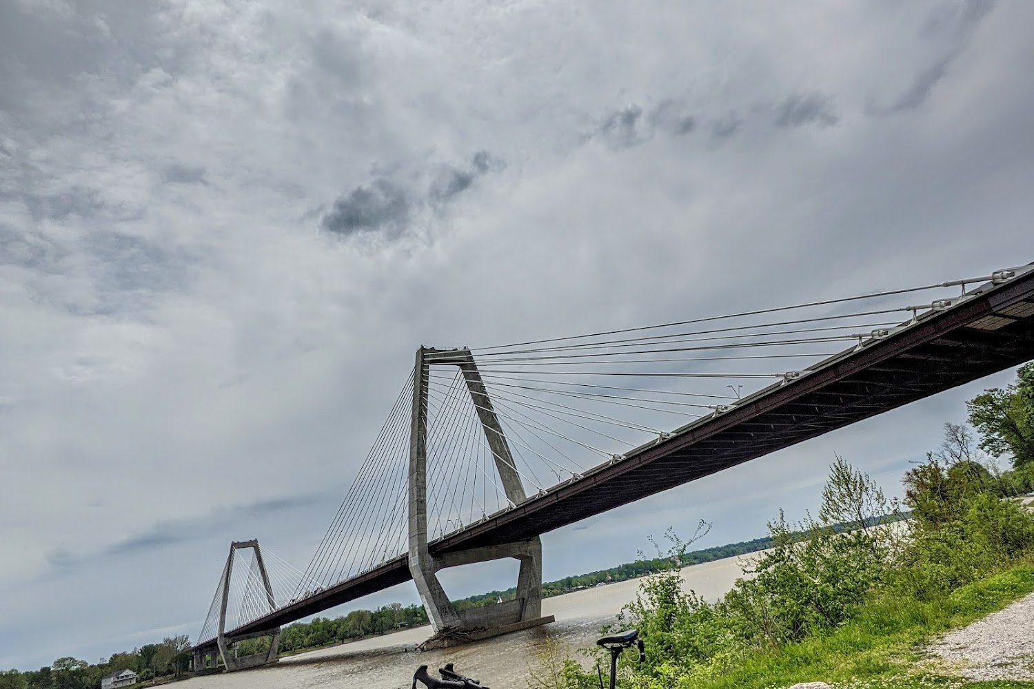 Animal Protection Association of Jeffersonville