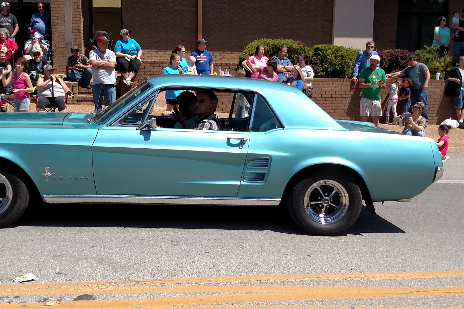 Icare Izard County Animal Rescue Effort