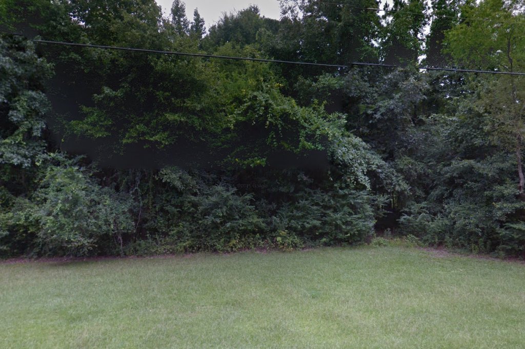 Morning Meadow Animal Rescue