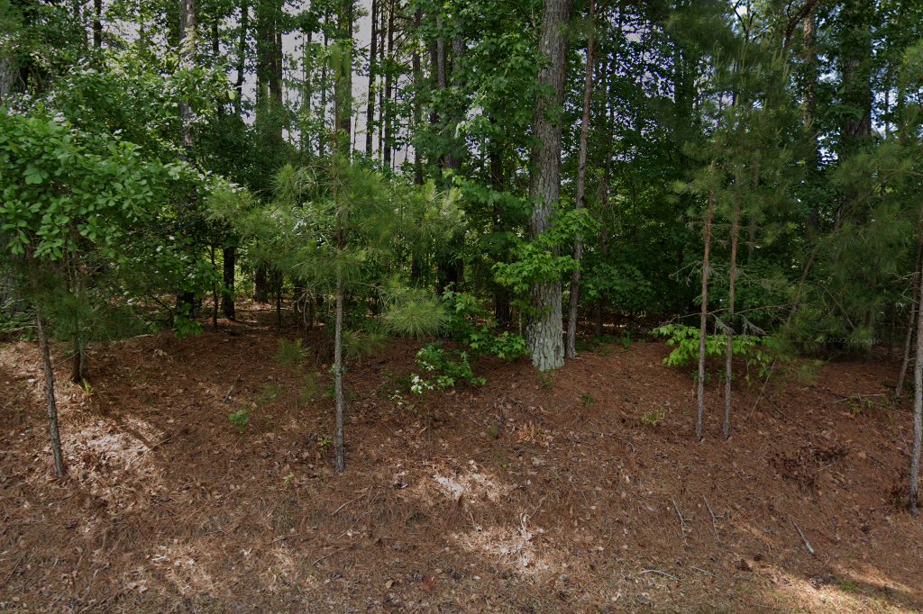 Pinegrove Animal Hospital