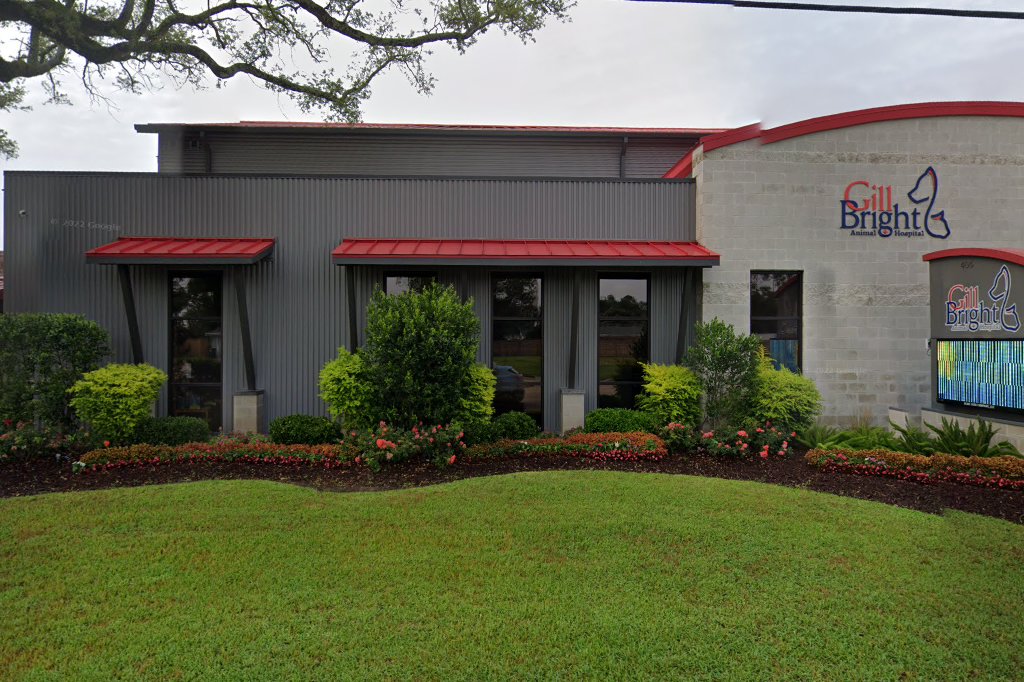 Gill Animal Hospital