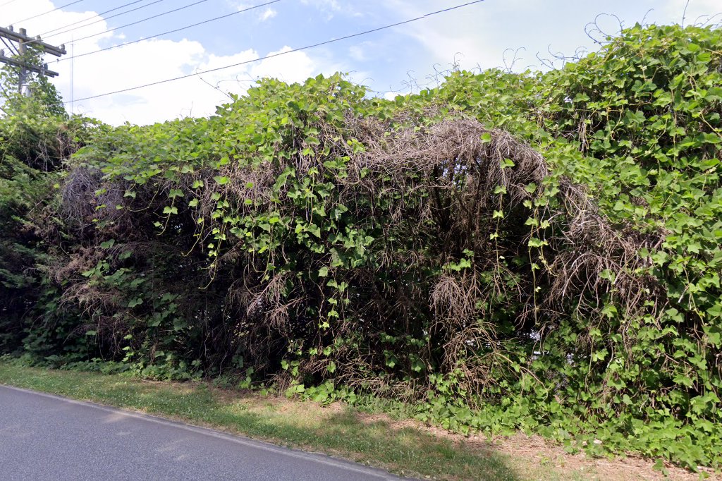 Caldwell County Animal Shelter