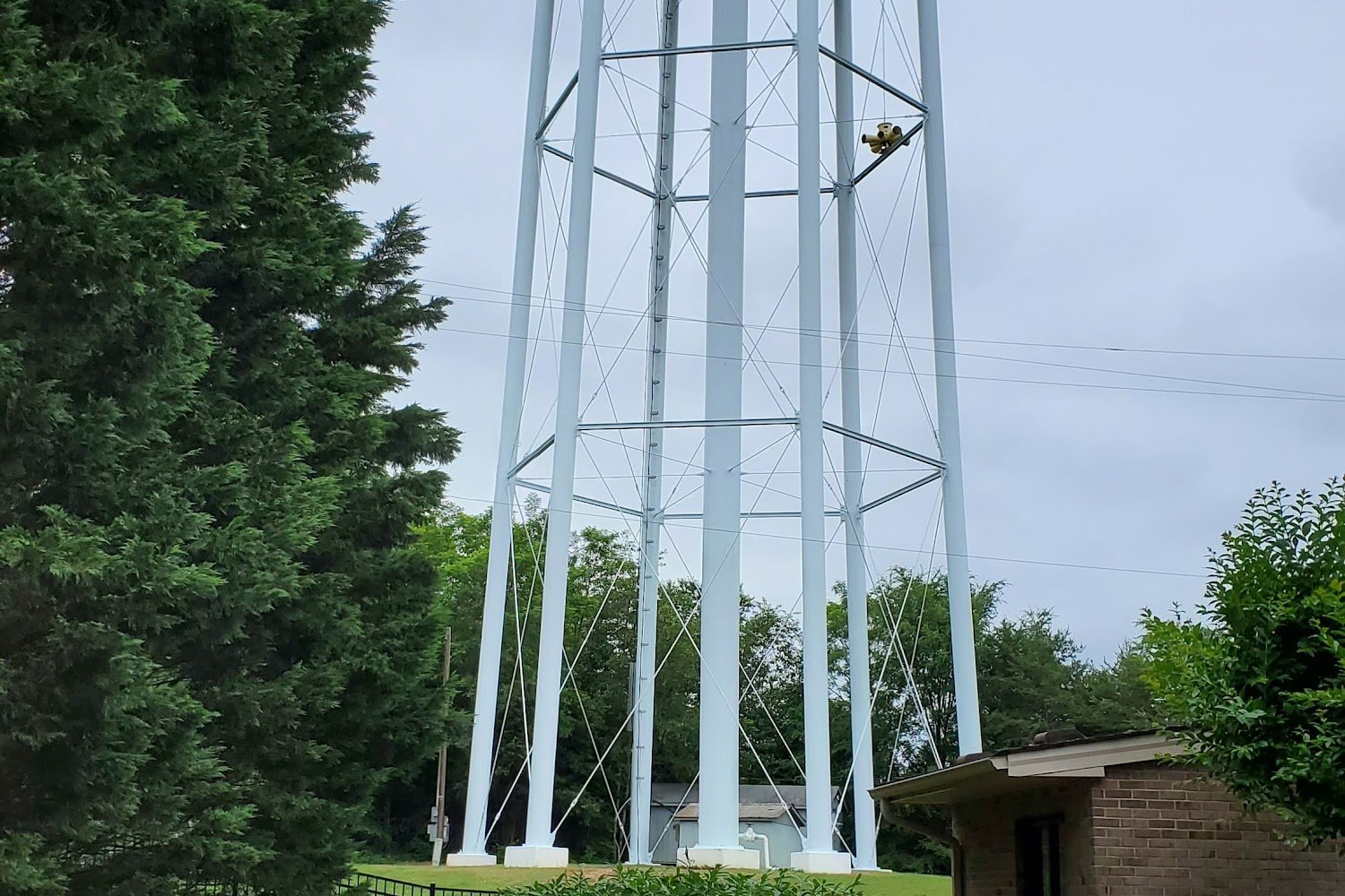 Animal Protection Society of Caswell County