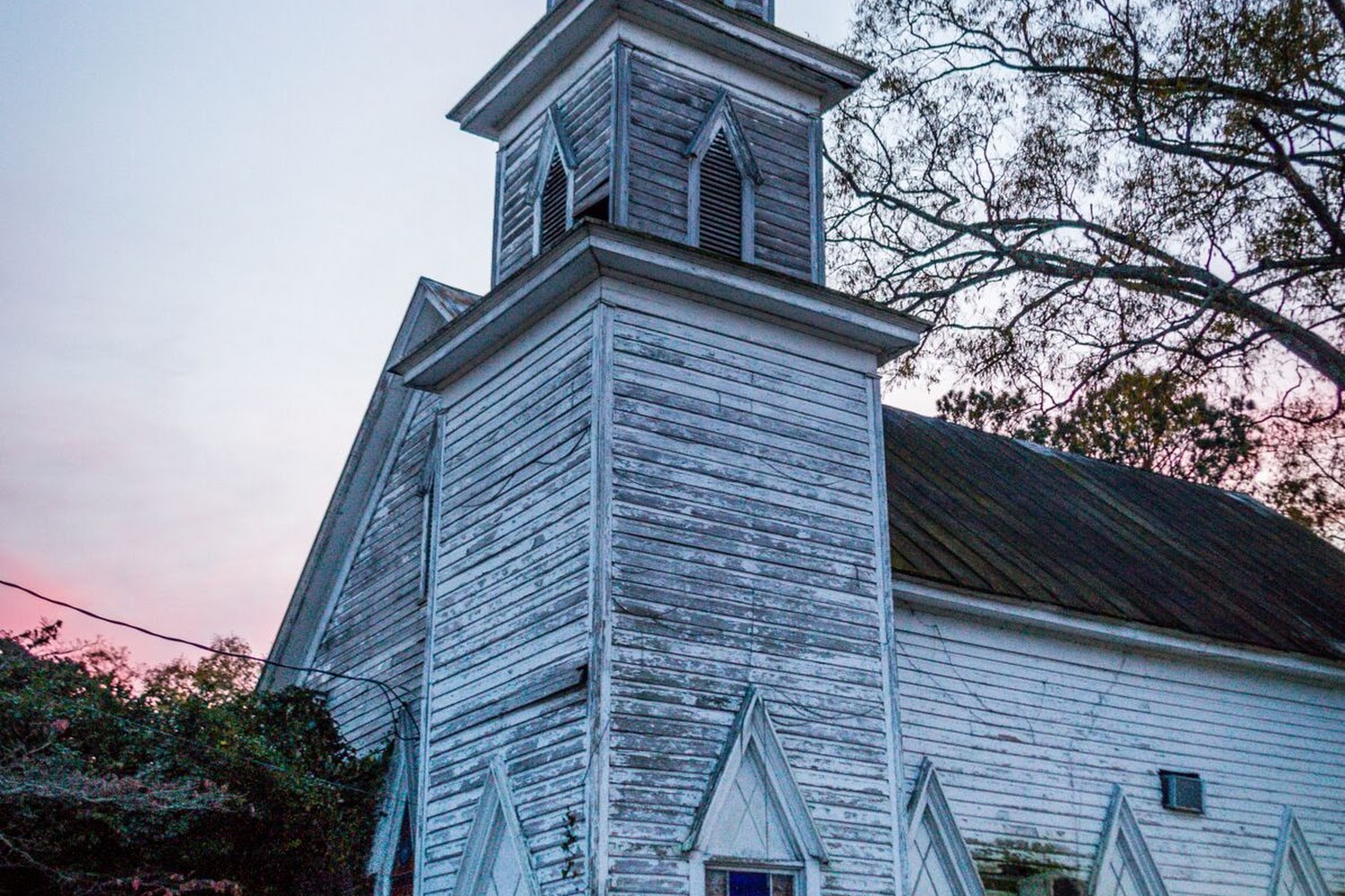 Jones County Animal Control