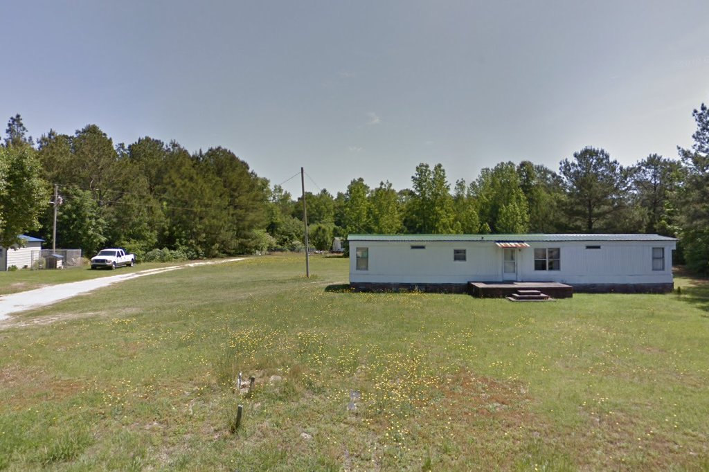 Wild at Heart Animal Rescue