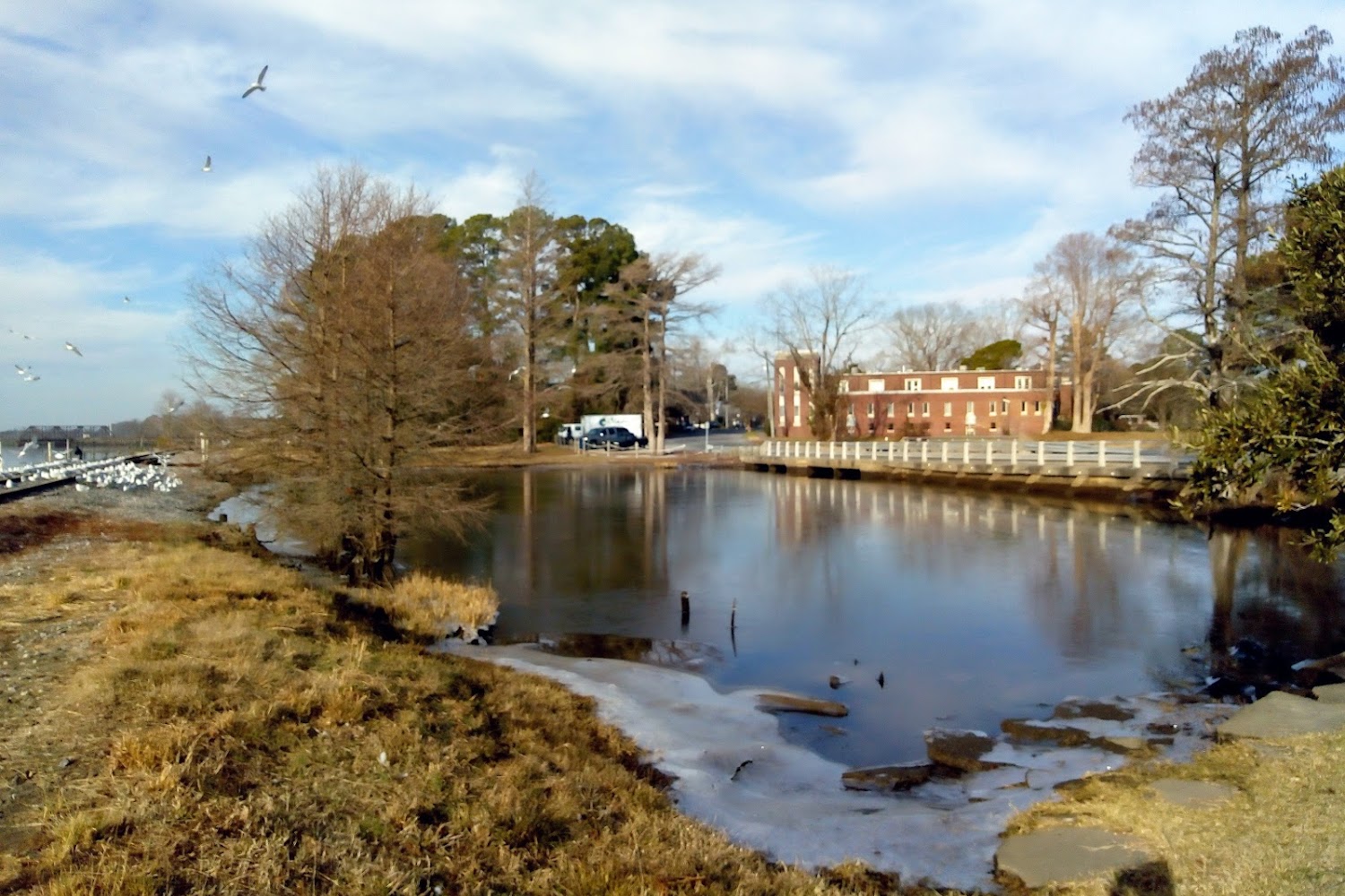 Humane Society of Beaufort County