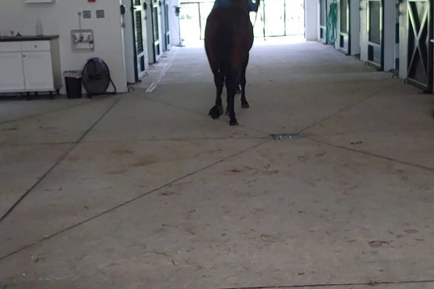 Ocala Equine Hospital