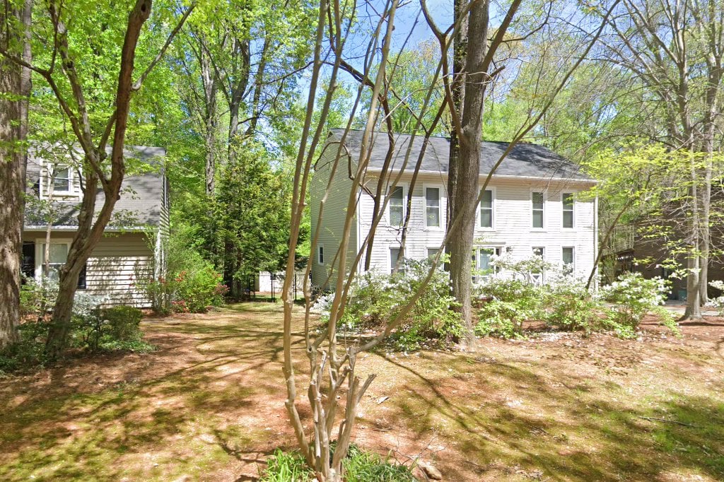 Dalmatian Rescue of the Carolinas