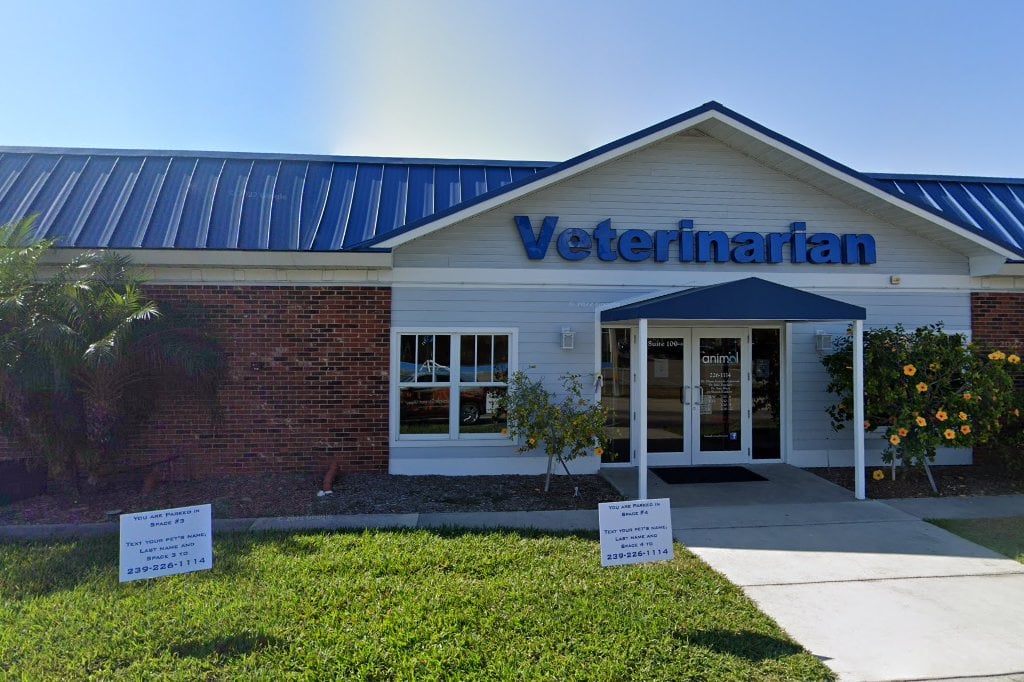 Animal General Hospital