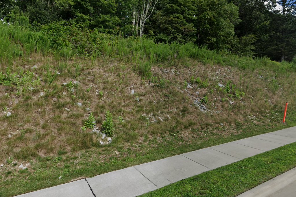 Chesnutt Veterinary Hospital