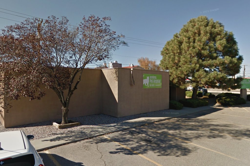 Academy Pet Hospital