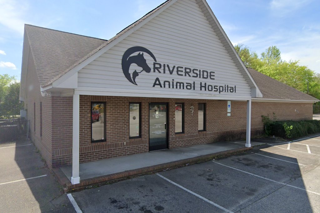 All Pets Hospital for Animals