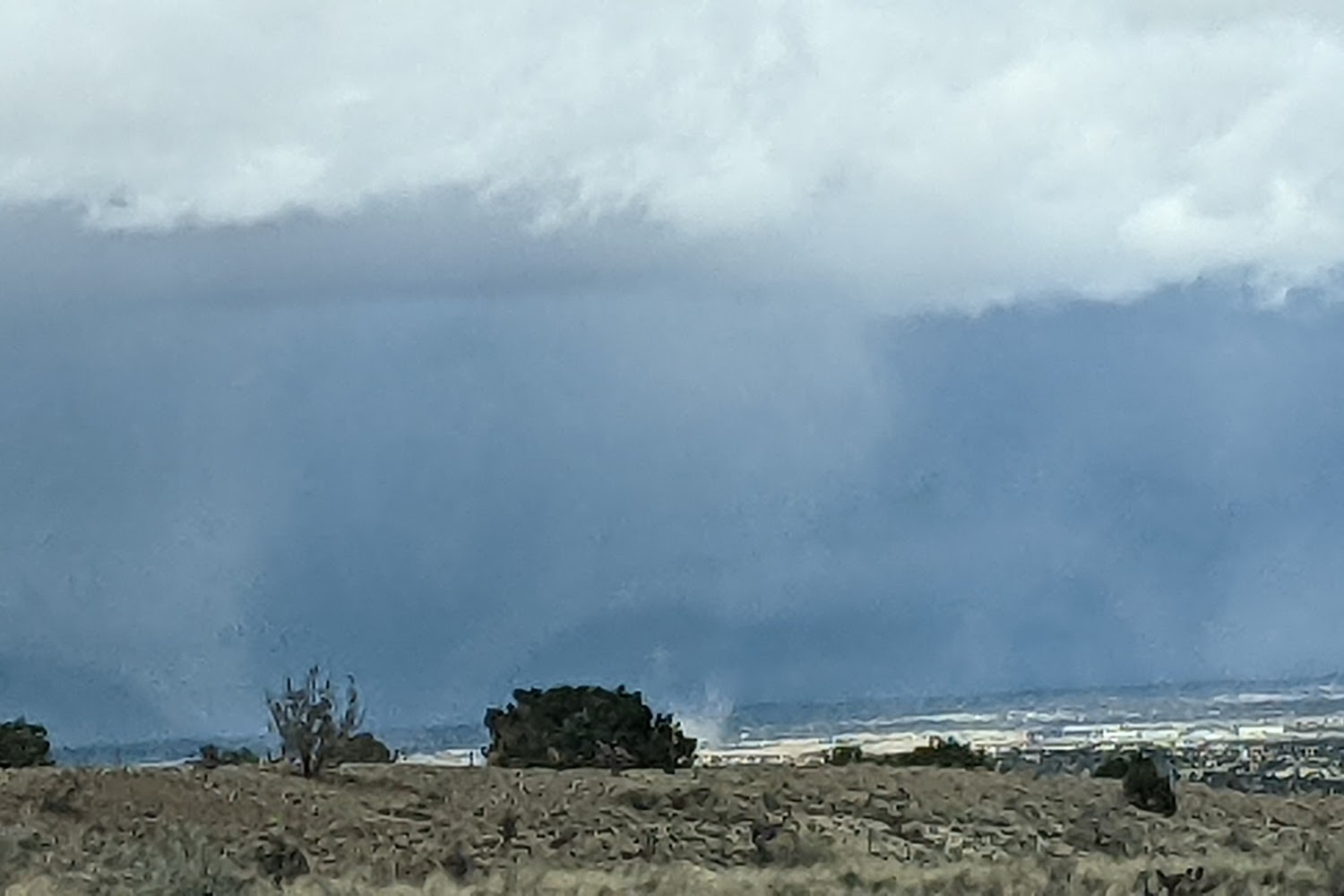 Rottweiler Club & Rescue