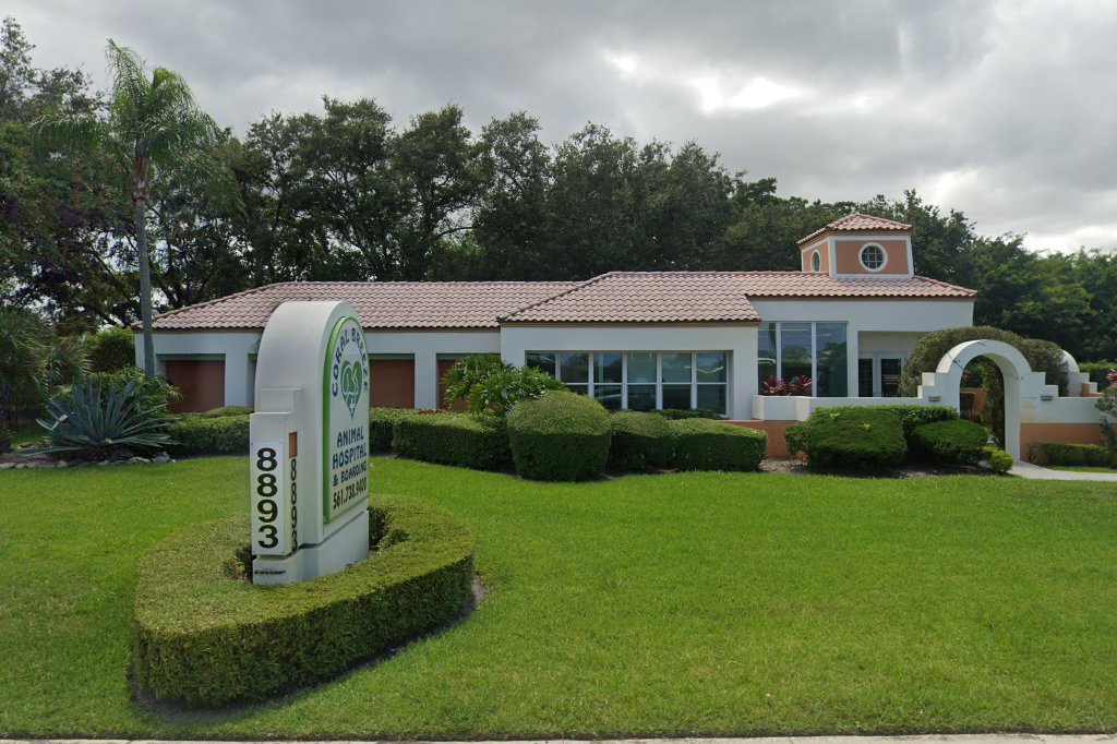 Coral Breeze Animal Veterinary