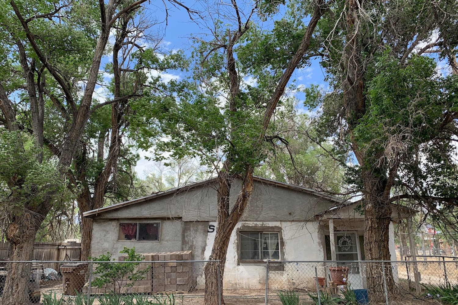 Estancia City Animal Control