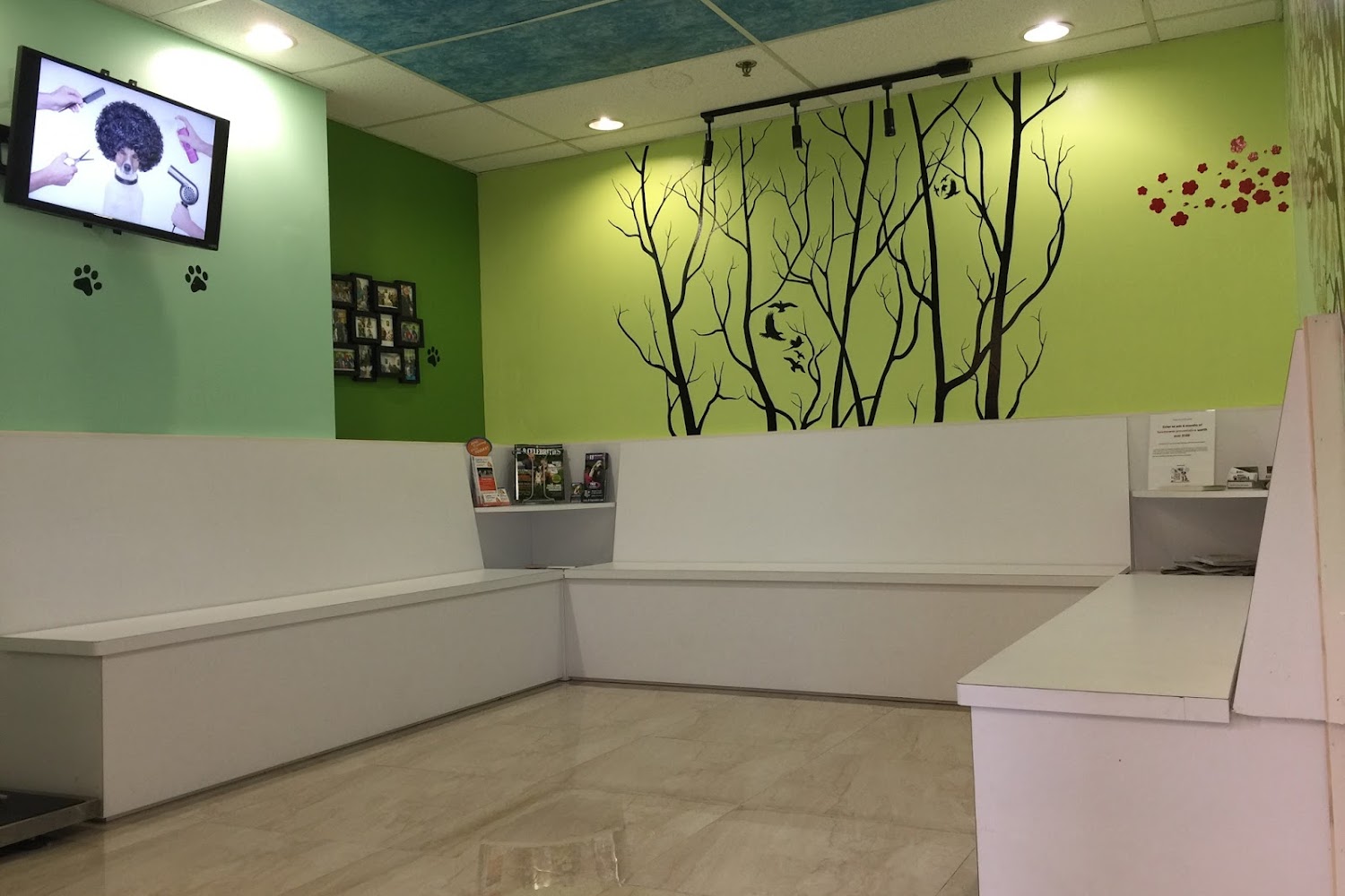 Kendall Drive Animal Hospital