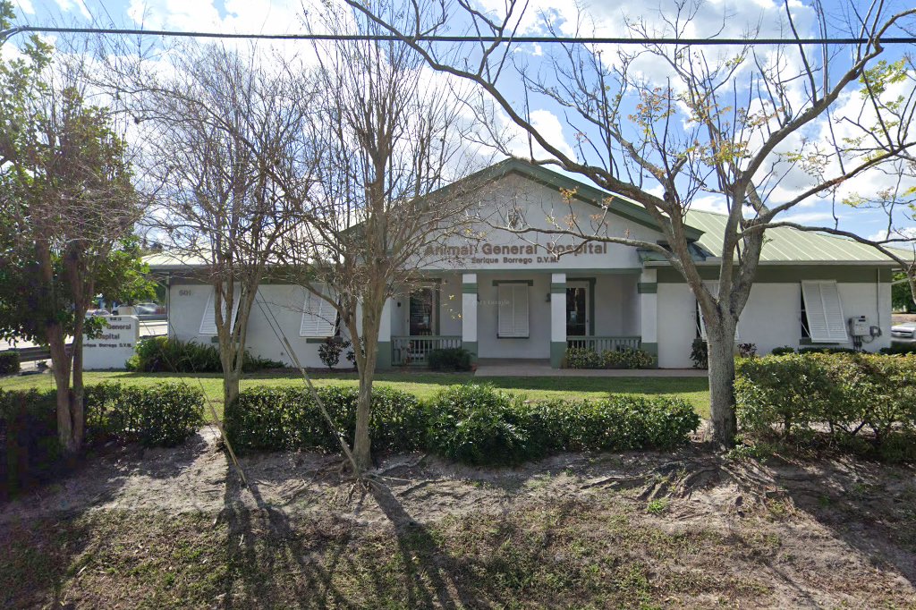 Animal General Hospital