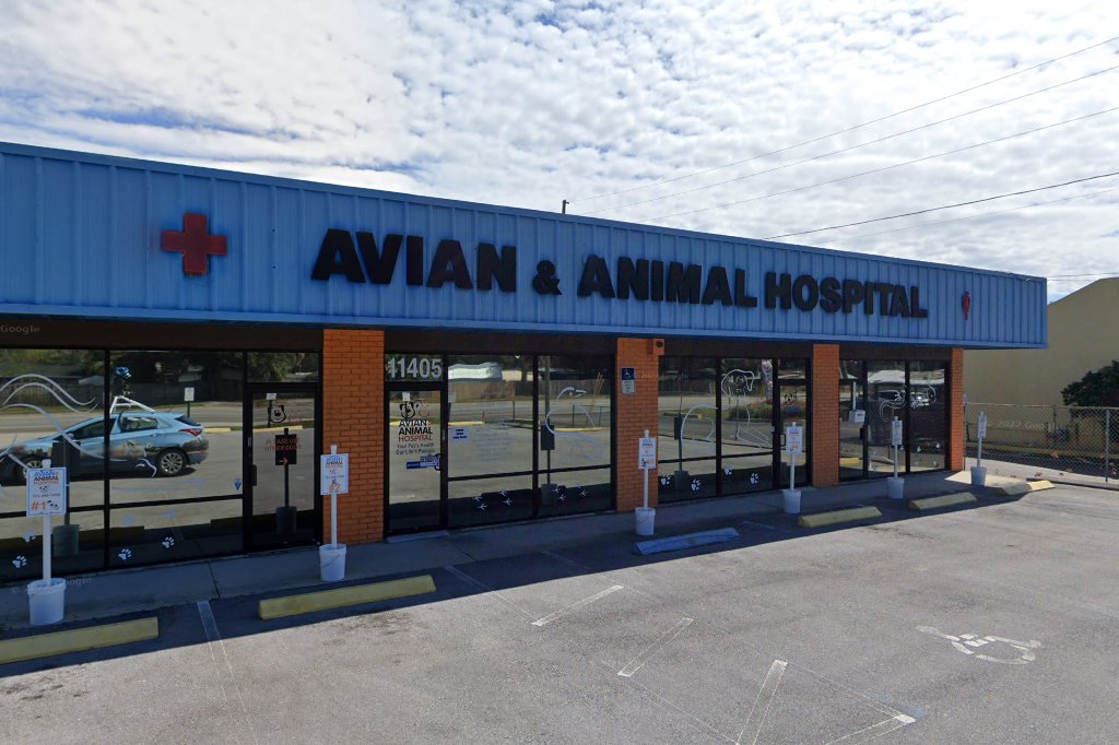 Avian & Animal Hospital