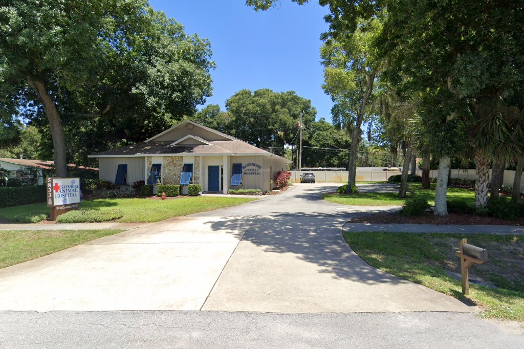 Bayshore Animal Hospital