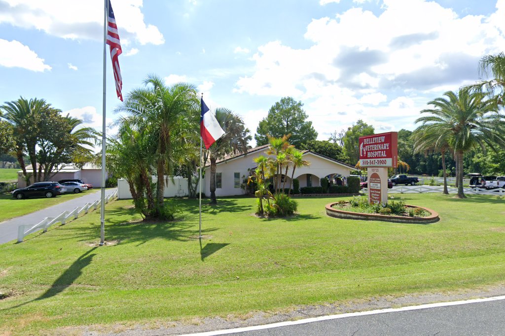 Belleview Veterinary Hospital