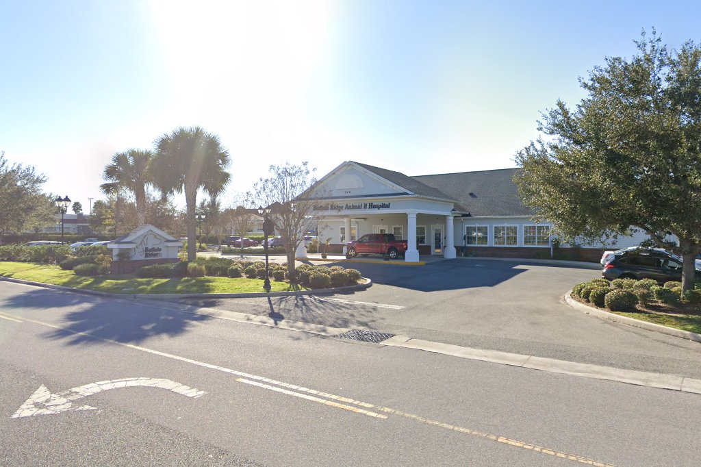 Buffalo Ridge Animal Hospital