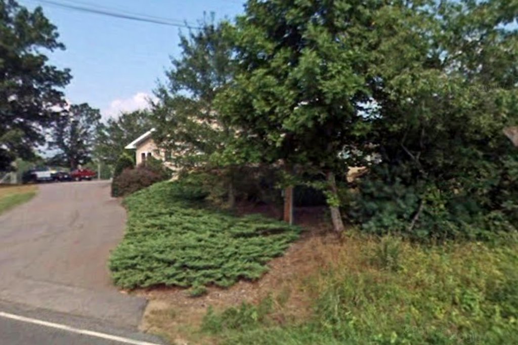 Noah's Ark Companion Animal Hospital