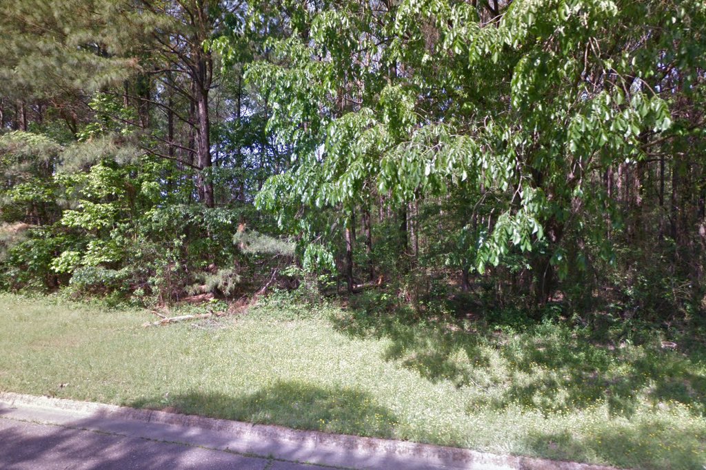 Ralston Animal Hospital