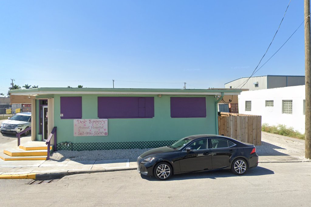 Doc Savvy's Animal Hospital