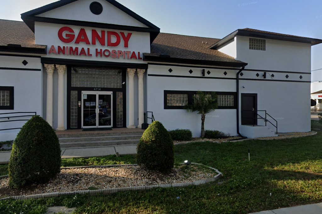 Gandy Animal Hospital