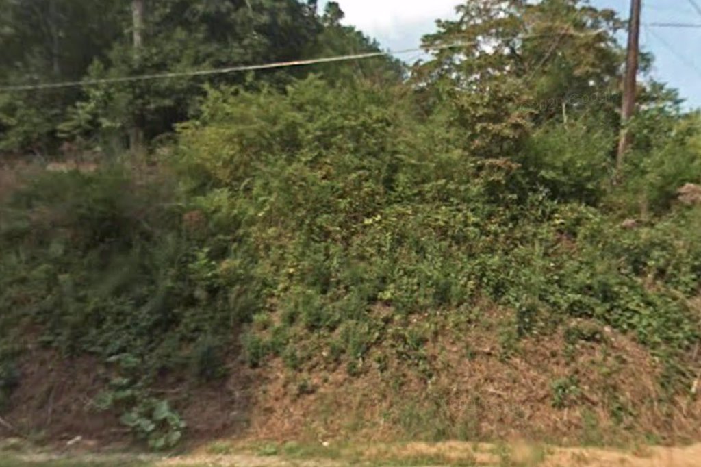 County Animal Shelter