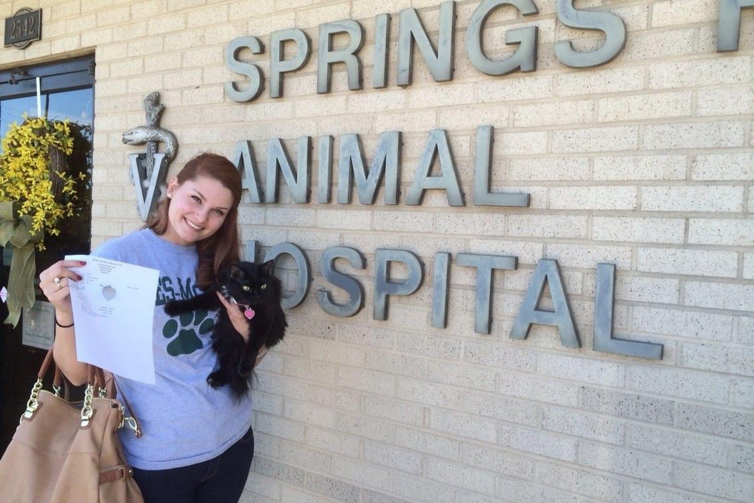 Springs Road Animal Hospital