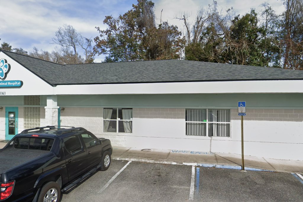 Green Cove Animal Hospital