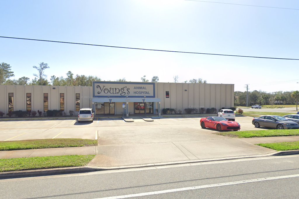 Young's Animal Hospital