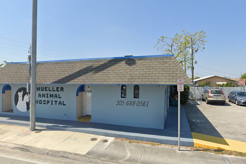 Mueller Animal Hospital