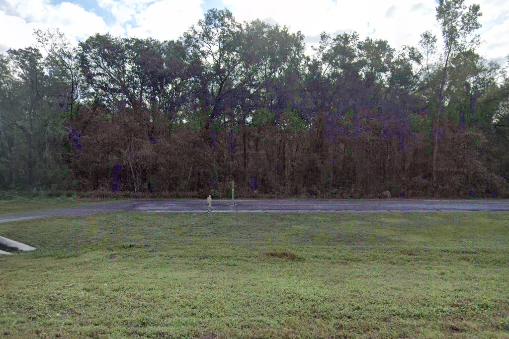 Pure Angels Animal Rescue