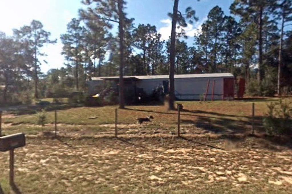 Gulf Coast Sheltie Collie Rescue, Inc.