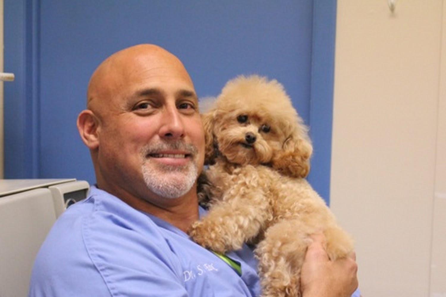 River Bridge Animal Hospital