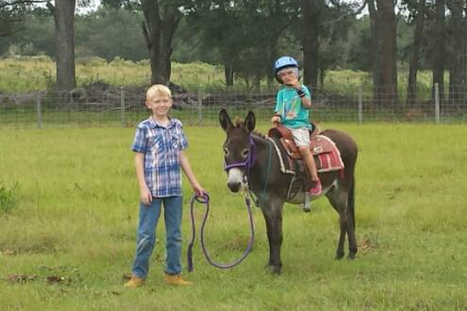 Divine Equine Rescue and Therapy Inc.